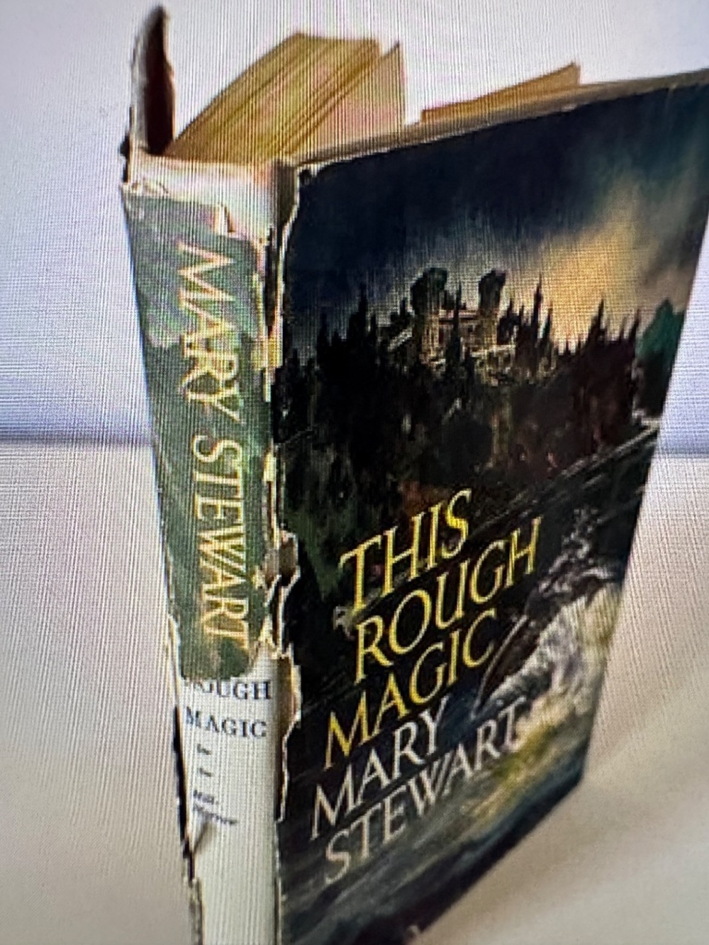 This Rough Magic - Picture 7 of 8